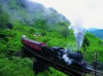 Srilanka Train Tours20