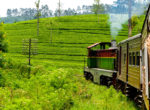 Srilanka Train Tours22